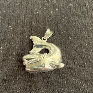 Shiny Silver Dolphin Charm
